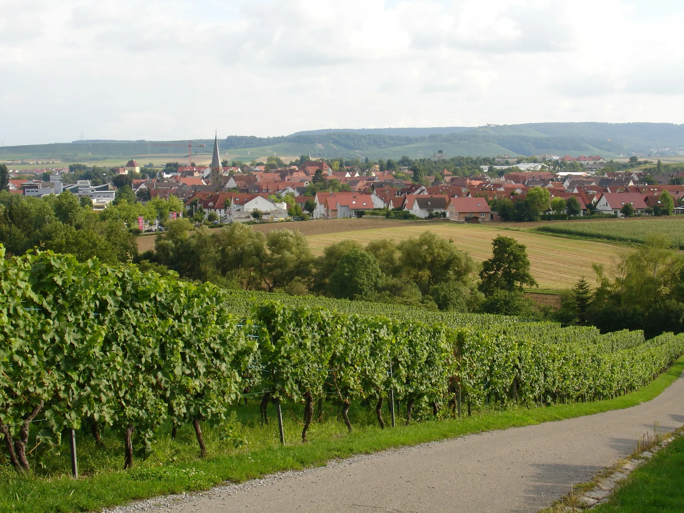 Brackenheim im Landkreis Heilbronn — repräsentative Aufnahme der Region.