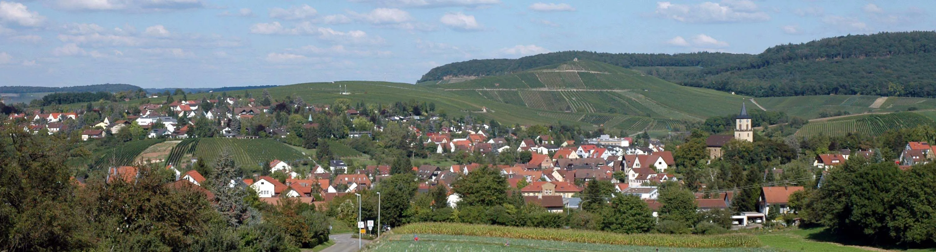 Flein im Landkreis Heilbronn — repräsentative Aufnahme der Region.